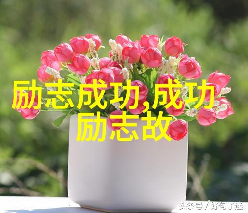 明星励志故事-李连杰从武术世侠到影视巨星的不凡之路