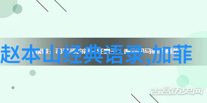 明星逆袭传奇从无名新人到闪耀舞台的励志旅程