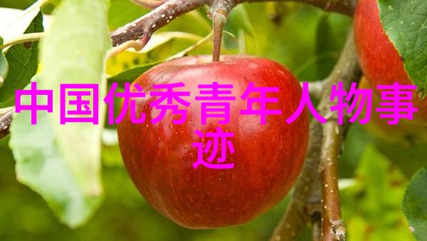 家庭暴力女性的隐秘伤害医生咨询解密预防