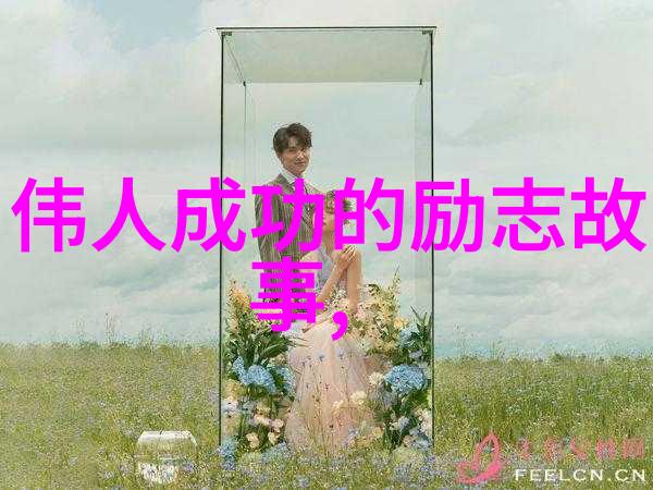 追梦者的心灵之旅从不懈努力到辉煌成就的故事