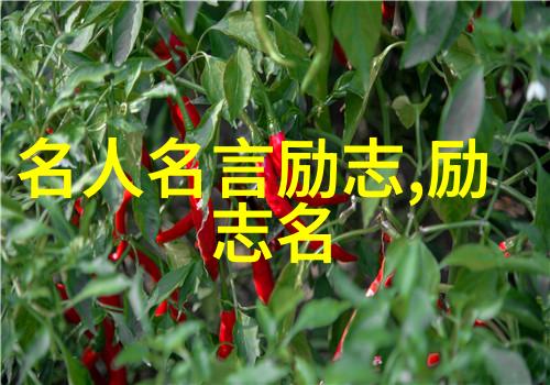 爱情冰冷女人坚决要离婚的心理夫妻名存实亡