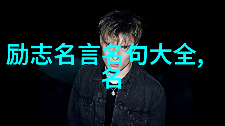 坚持到底不负韶华杨澜的事业发展与影响力提升