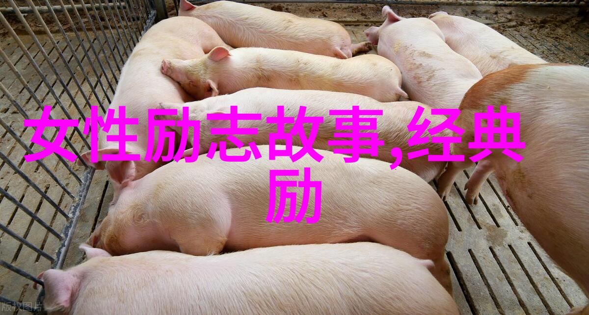 人间失格中的深刻省思孤独与自由的交响曲