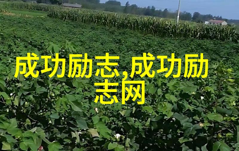 追忆逝去的时光解读米兰昆德拉经典语录中的哲学与艺术