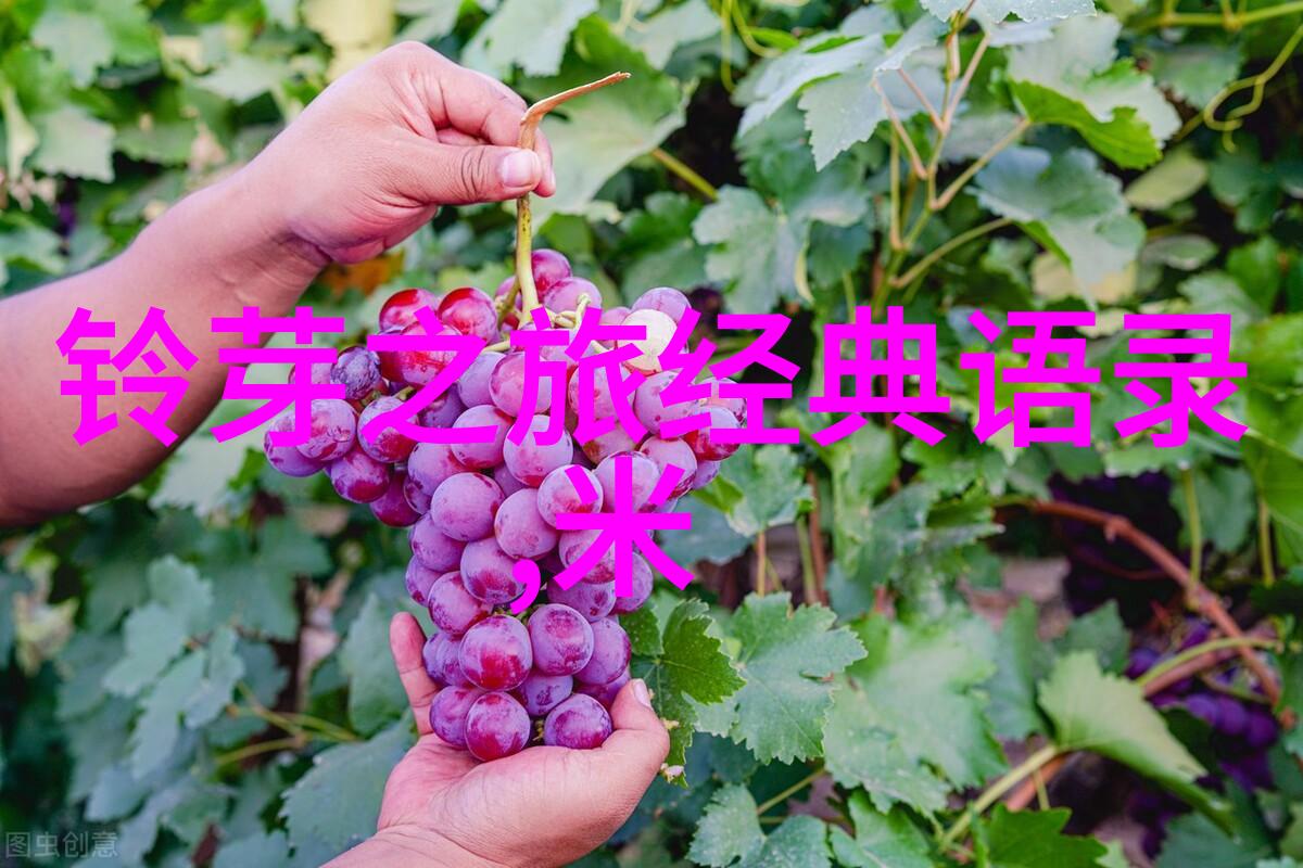 知无为而治苏格拉底关于权力的看法