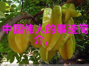欧冠决赛场地在一片温暖的森林中13赛季欧冠决赛悄然展开