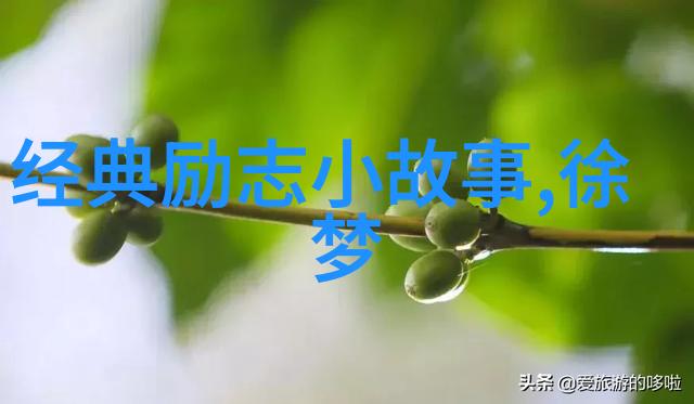 吕燕逆袭之星点亮99人生的希望灯塔