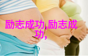终极挑战 海贼王与大明帝国权力与正义之间的较量