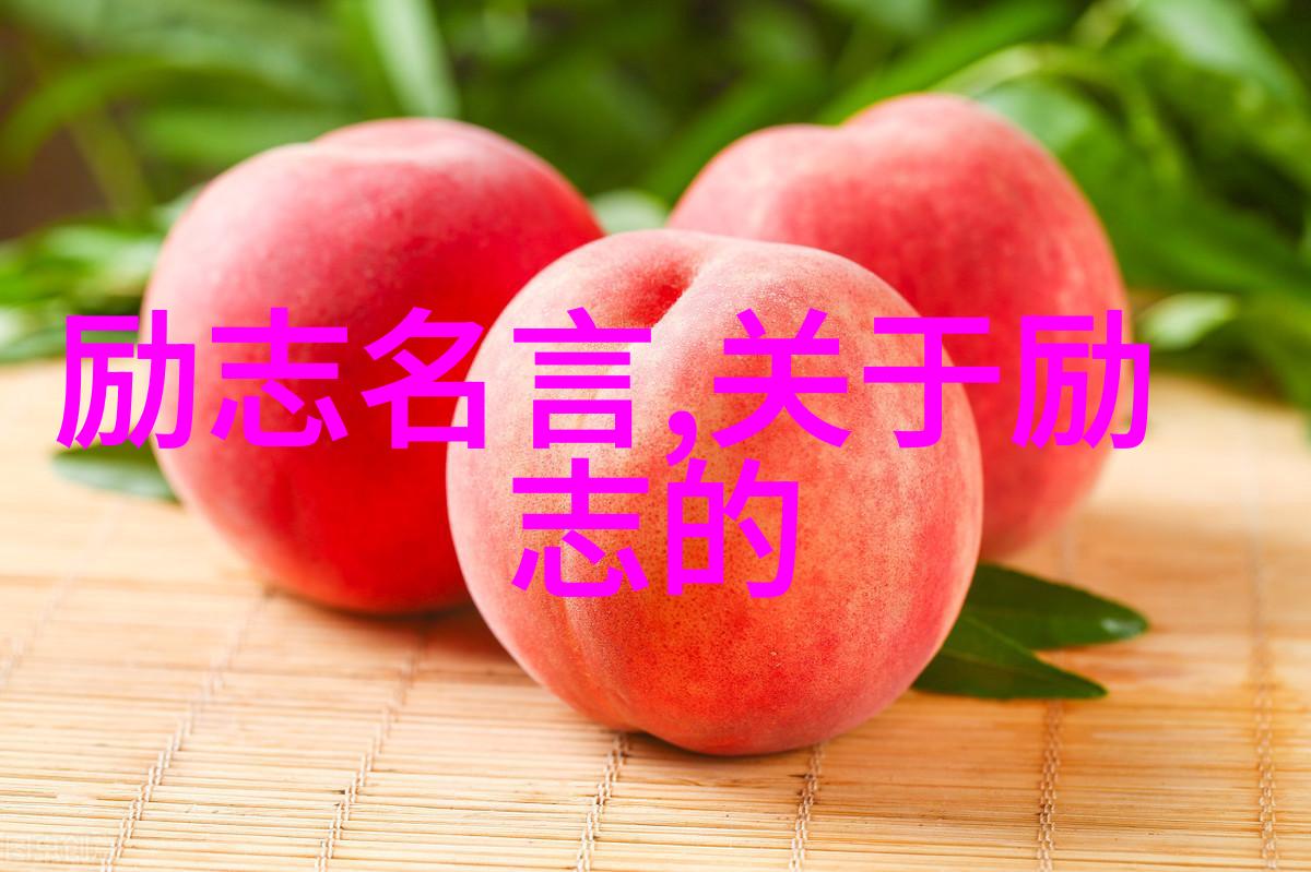 咸鱼穿书后家人全是反派自己却不知情的逆袭故事