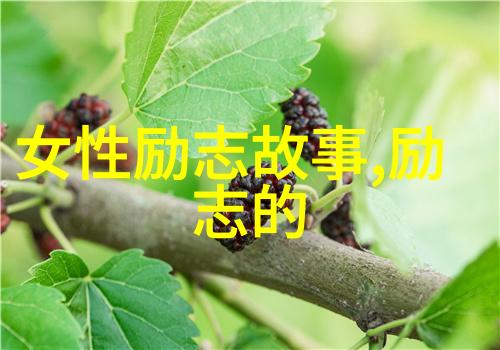 一夜入冬的经典语录记得他说冬天不冷是因为你没有好好穿衣服