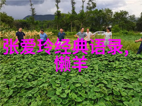 在观赏中国十大感动人物2022时我被深深触动但又不禁产生了这样一个疑问这些感人事迹背后是不是隐藏着更