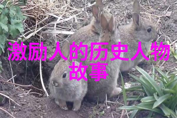 姜可全文无删减txt-姜可的完整故事揭秘未删减版