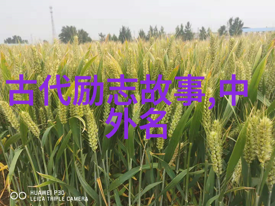 探索历史巨匠揭秘一位改变世界的英雄故事
