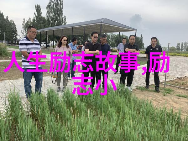 刘诗诗的人生启示
