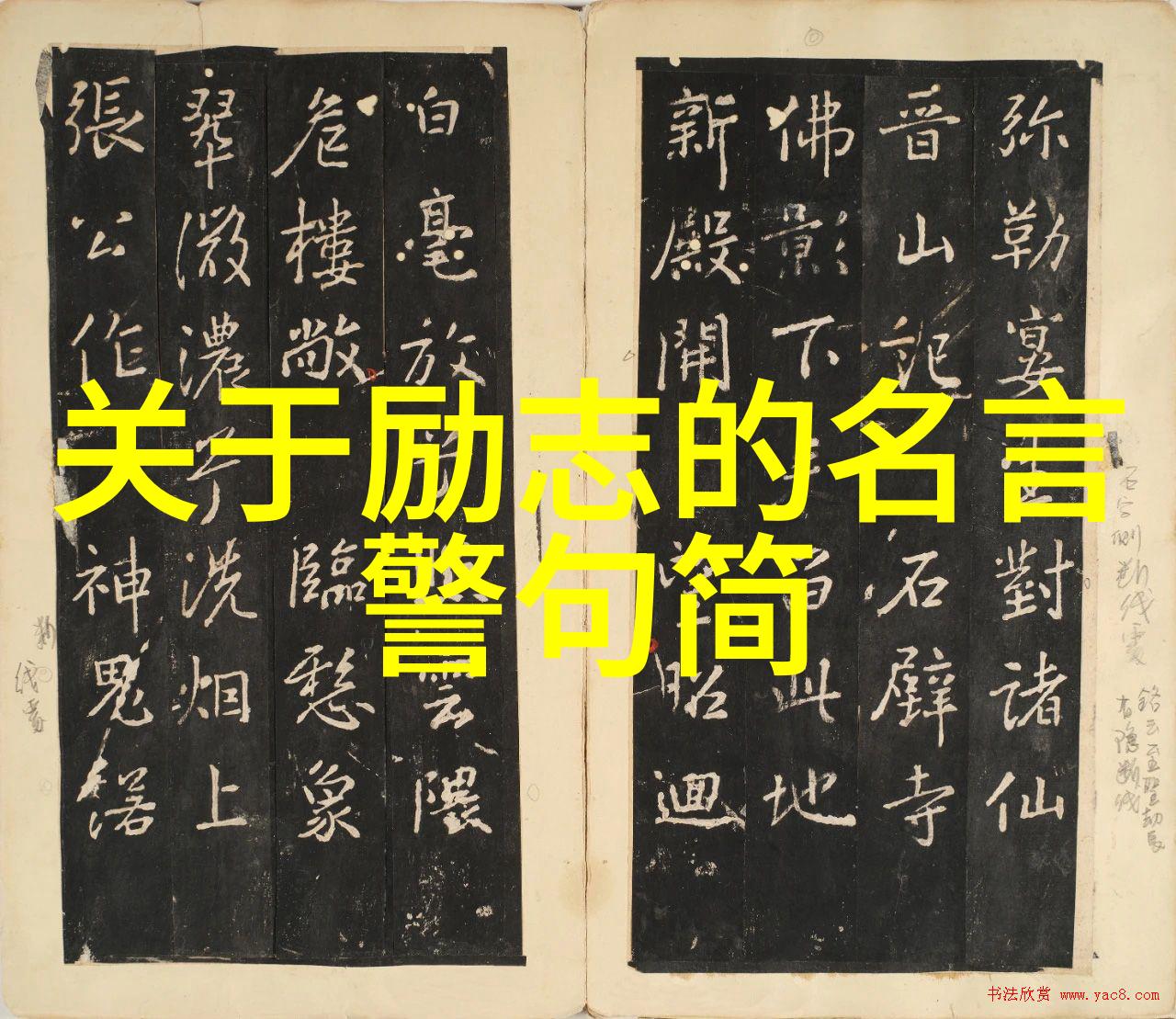 有品味女人的经典语录 - 李婷的坚韧之旅