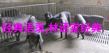 心情日志说说心情随笔习惯孤单的日子反复