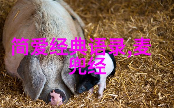 魔幻现实主义中的时间与记忆解读加西亚马尔克斯经典语录的历史深度