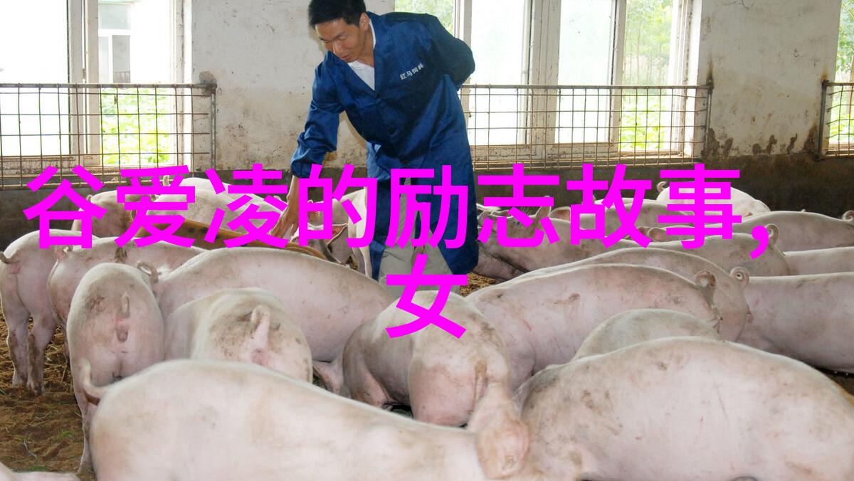 爱情公寓经典语录爱情公寓中的感人对话