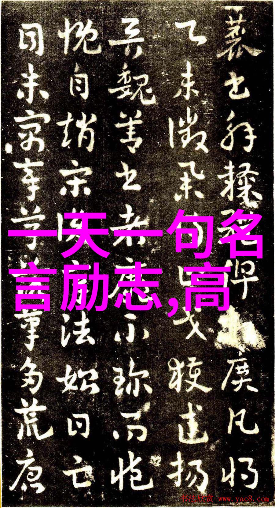 林清玄的智慧生命之树在风雨中绽放