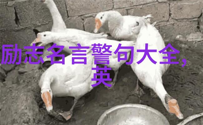 郭德纲相声经典语录我是观众你就是笑点