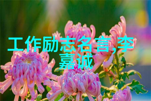 种子之父袁隆平的智慧回顾其经典语录