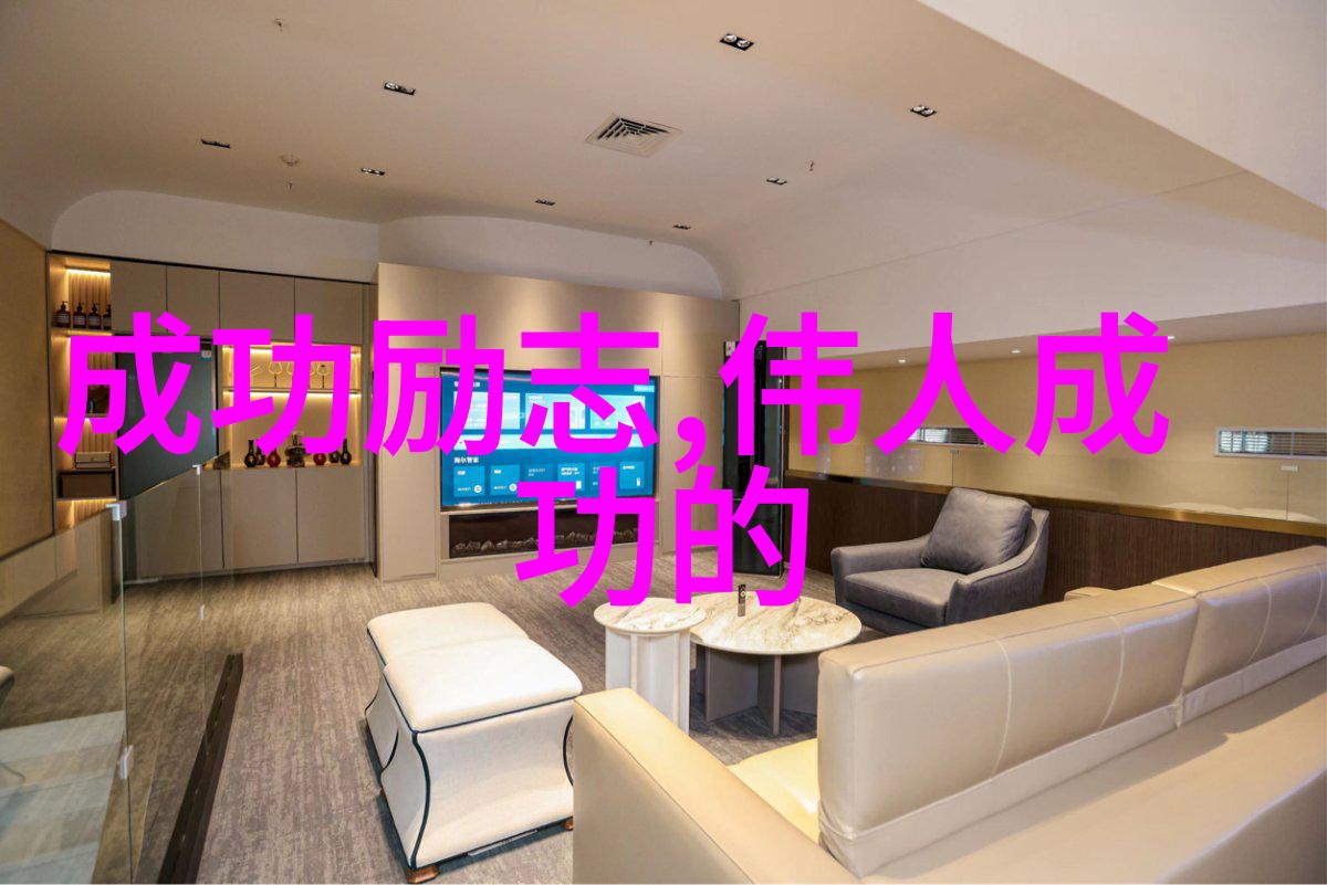 逆袭之星一个穷小子如何成为世界级企业家的故事