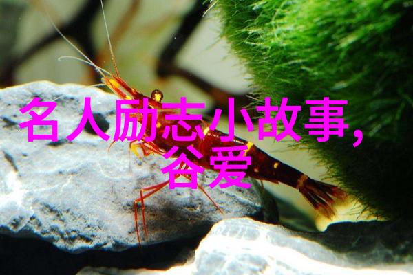 小明的科学梦想从贫困村到科研巨匠