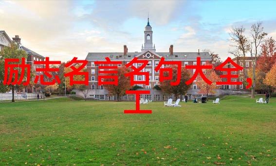 史泰龙励志故事我是史泰龙从街头混混到演技巨星的逆袭