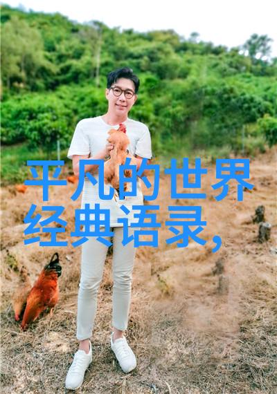 江岸有枝一幅静谧的水乡画卷