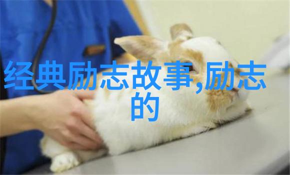 海上钢琴师经典语录我心随着波浪起舞当你沉迷于音乐时你就不再是孤独的