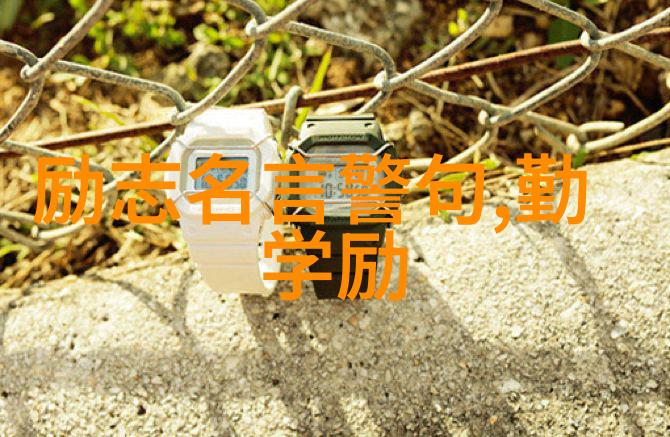 牛顿的苹果一位科学巨星的命运之作