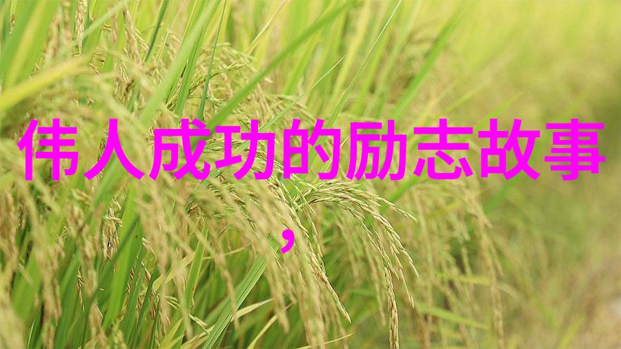 现代名人励志故事简短我是李雷我从小就喜欢编程现在已经成了科技巨头之一
