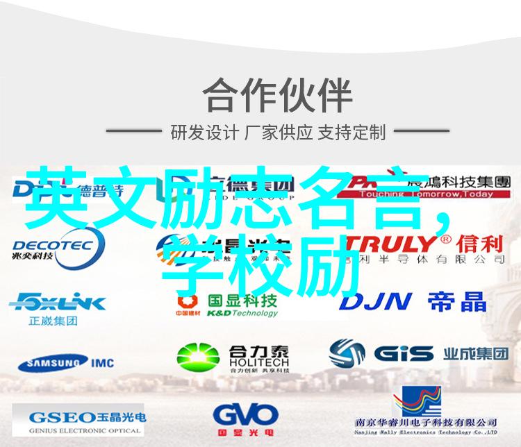 亲情的代言儿子与母亲的深厚纽带