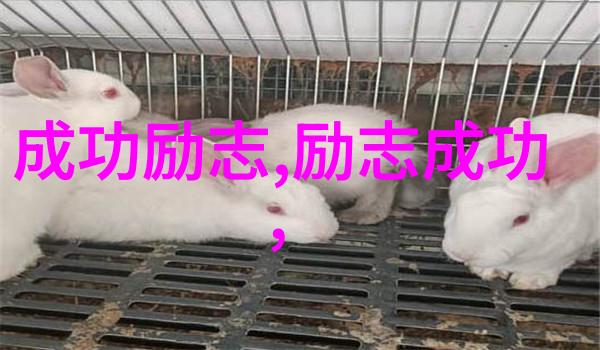 李雷从一名普通工程师到成功创业者的逆袭故事