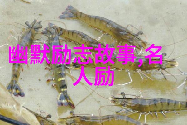 女教师婚内出轨黑人洋外教物品成为挽回婚姻的难题