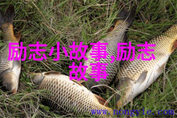 跨文化奇迹李小龙与莫扎特的灵感之旅