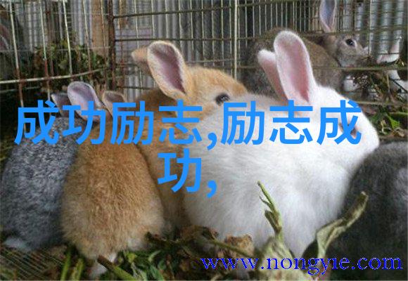 草莓之恋女人迈开腿的故事