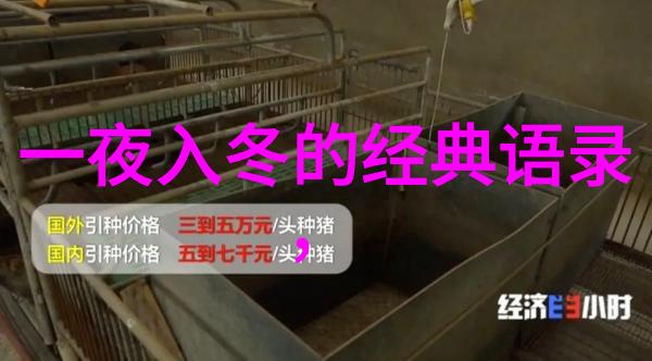 中国名人有志气的故事 - 梁啸风不懈追梦的篮球之星