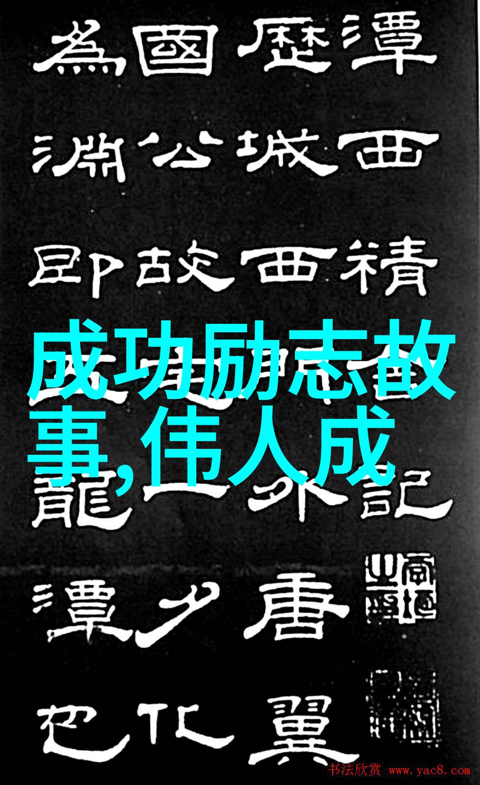 周瘦鹏与其他女主角相比最终为什么选择了王子安作为他的伴侣呢