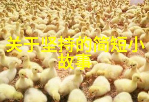 逆袭的铁道兵张某某的坚持与荣耀
