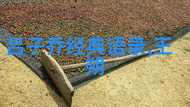 徐志摩经典语录研究探索其在现代文学中的哲学价值与文化意义