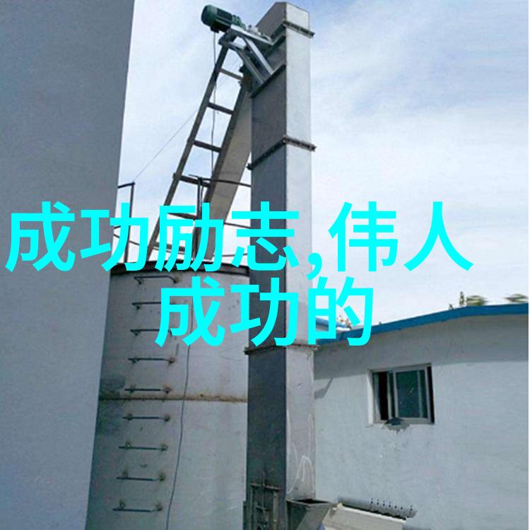 跨越千山万水的梦想之旅李雷的逆袭故事