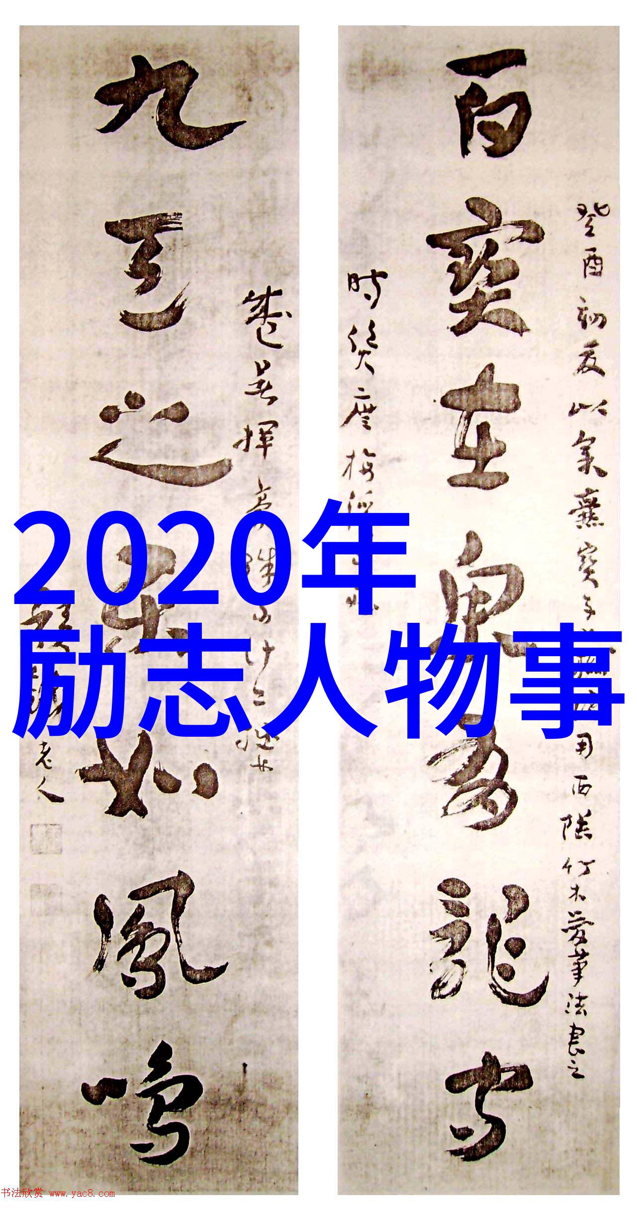 偶像风靡名人背后的魅力与光芒