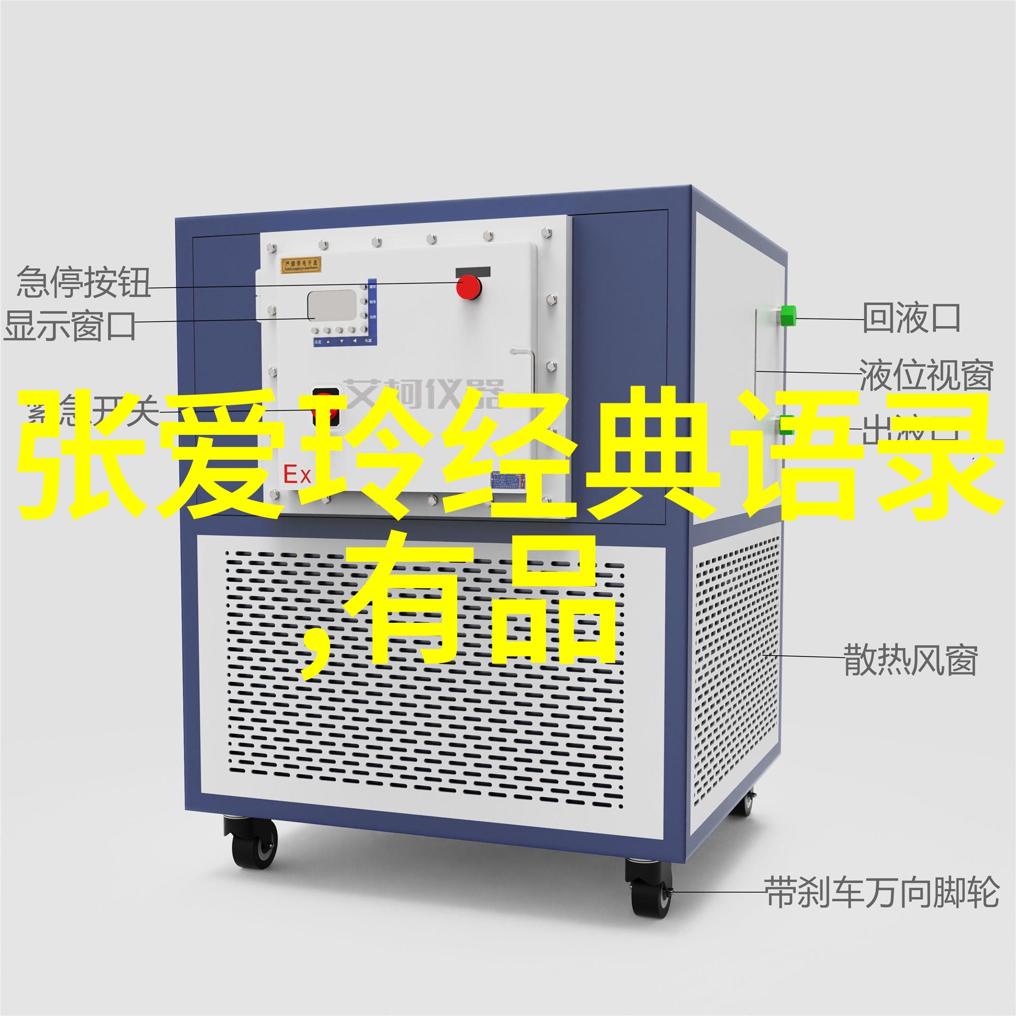 激励人心的现代启示追梦者们的不懈努力与成功故事