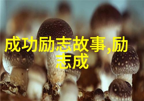 王小波之灵魂的断句
