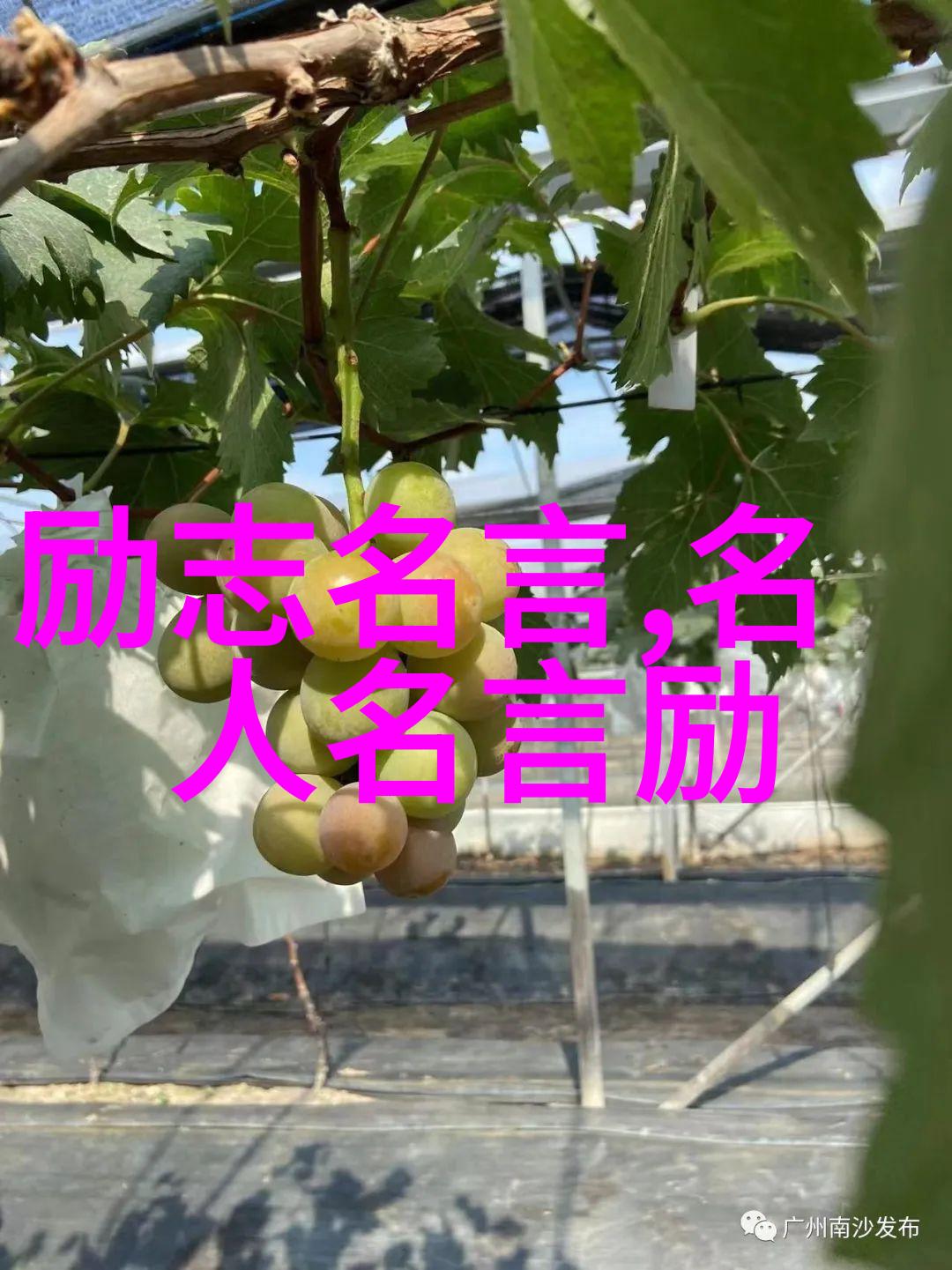 极品公子经典语录言情小说中的高冷男主角深情告白