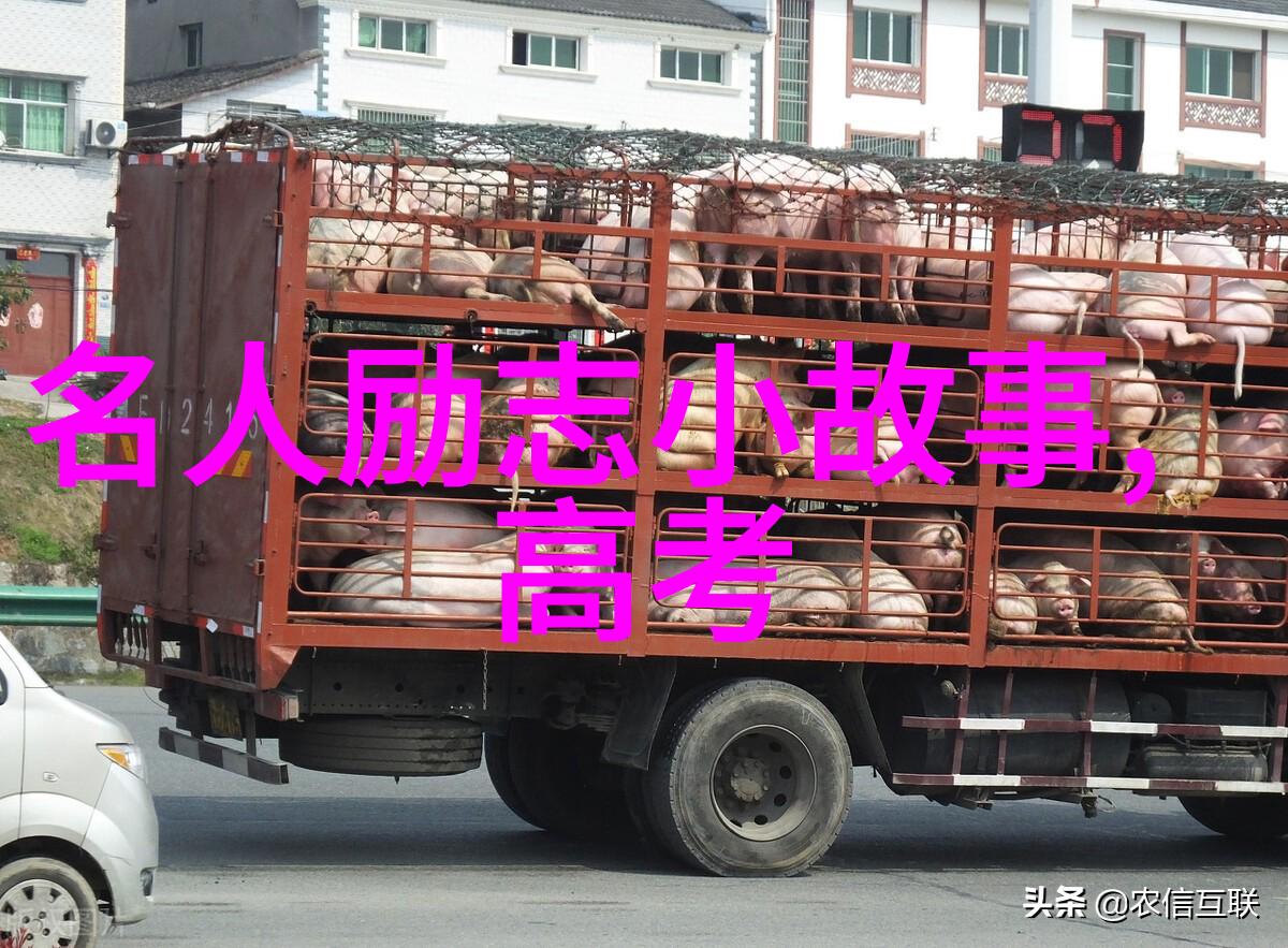 婆媳的战国时代观看全集爱的缺失关系难处理