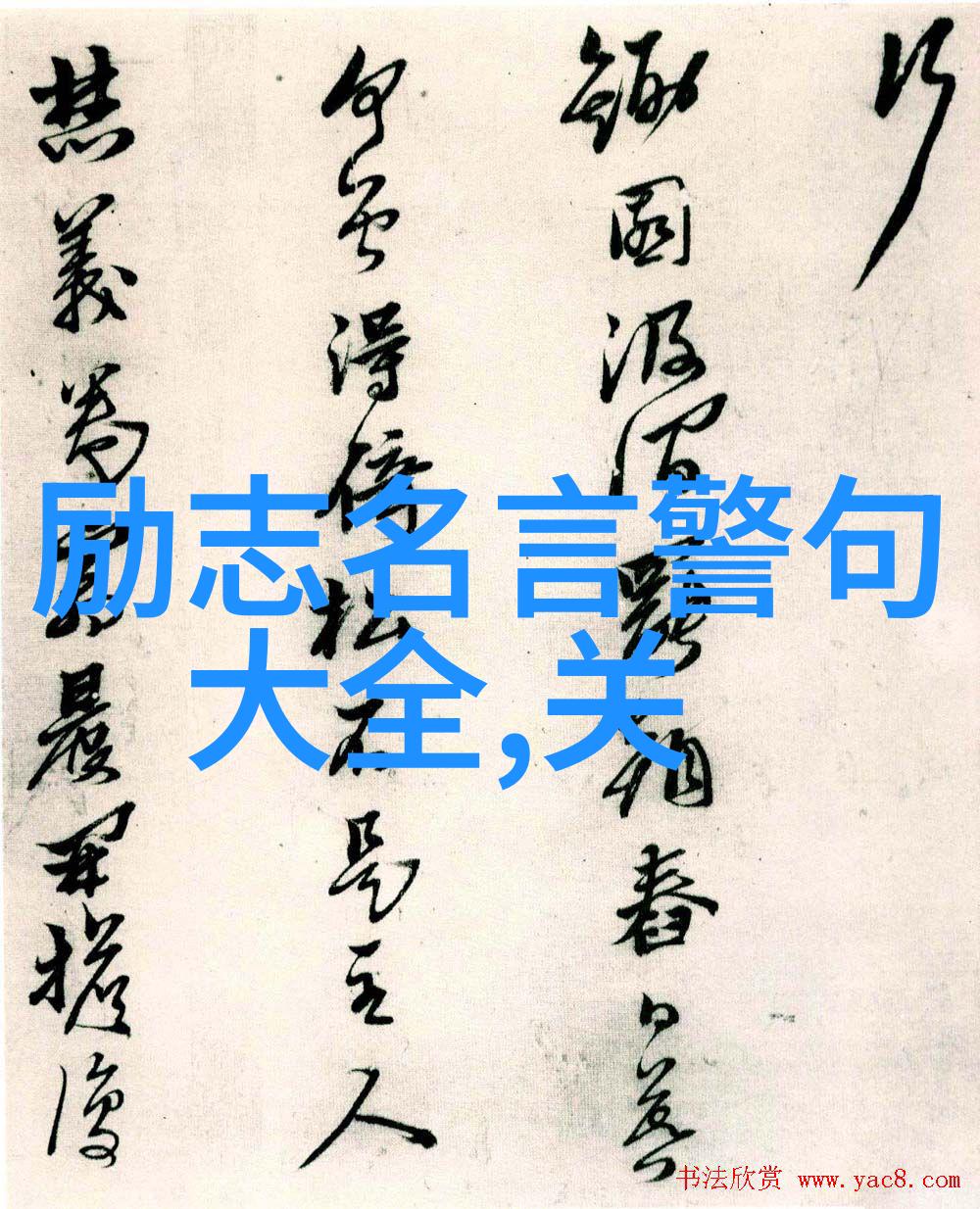 偶像的力量名人背后的故事明星成长路线