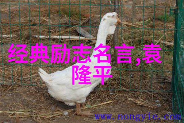 董宇辉经典语录逆袭之王董宇辉的成长之路