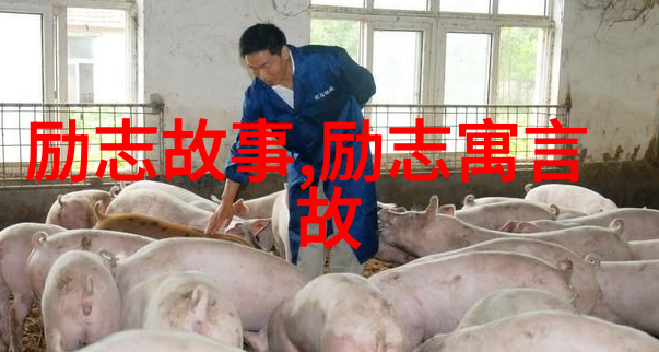 曾国藩反复的励志偶像人物事迹